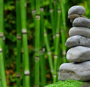 Pampasgræs og wellness: Sådan kan det hjælpe med at reducere stress og øge trivsel